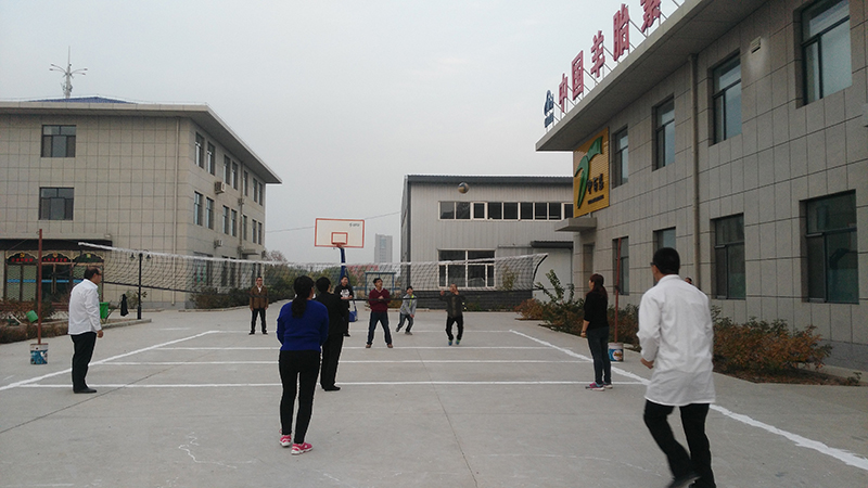 銀川伊百盛生物工程有限公司 銀川伊百盛生物工程有限公司