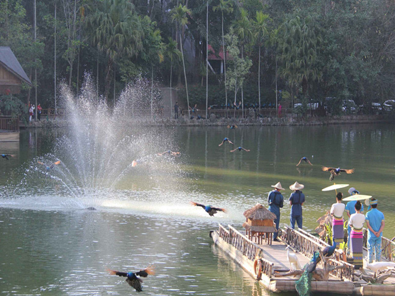 銀川伊百盛生物工程有限公司 銀川伊百盛生物工程有限公司