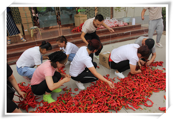 銀川伊百盛生物工程有限公司 銀川伊百盛生物工程有限公司