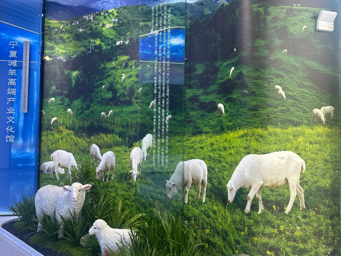 銀川伊百盛生物工程有限公司 銀川伊百盛生物工程有限公司