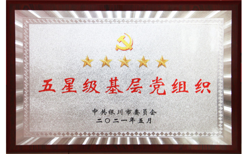 喜報！伊百盛黨支部榮獲“五星級基層黨組織”稱號