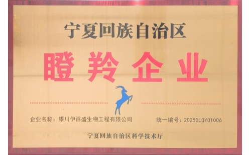 銀川伊百盛榮膺2025年度&ldquo;自治區(qū)瞪羚企業(yè)&rdquo; 以創(chuàng)新賦能產(chǎn)業(yè)發(fā)展