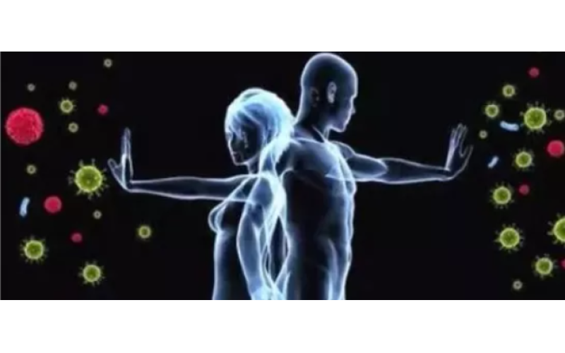 為什么補(bǔ)的是肽而不是氨基酸？